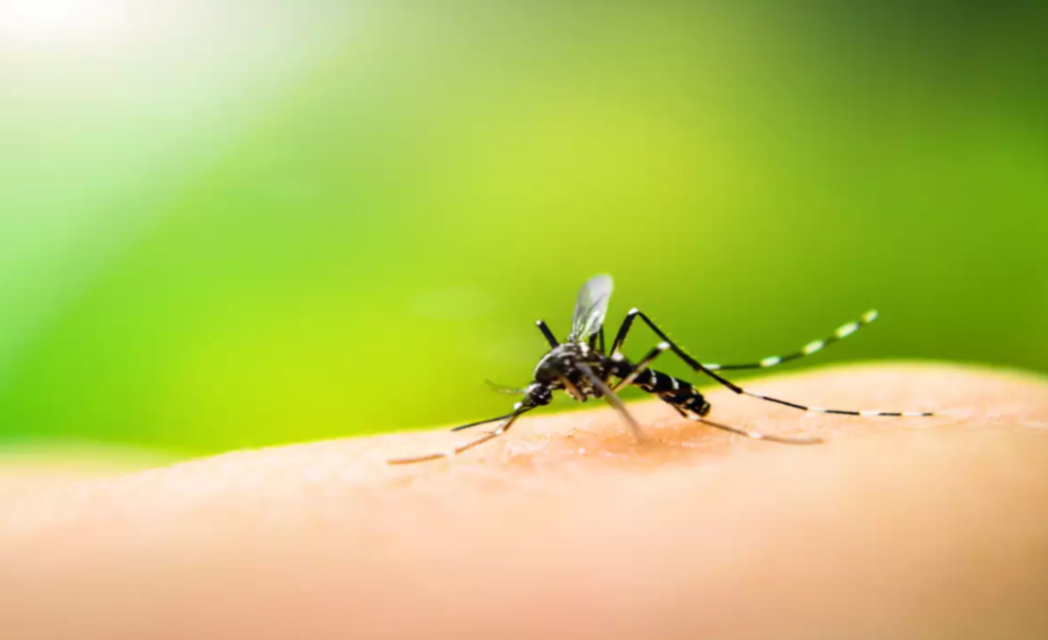 Chandipura Virus: बच्चों की सुरक्षा के लिए ये हैं 6 टिप्स
